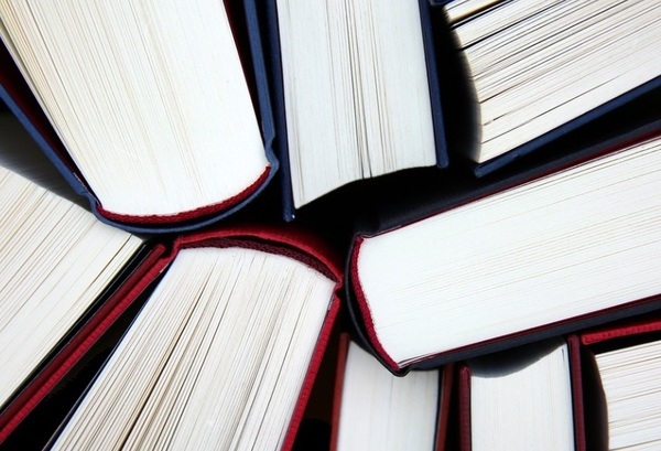 Госдума приняла в первом чтении проект об ограничении доступа к книгам иноагентов в библиотеках