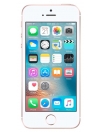 Сотовый телефон APPLE iPhone SE - 16Gb Silver MLLP2RU/A