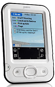 Palm Z22